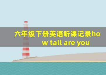 六年级下册英语听课记录how tall are you